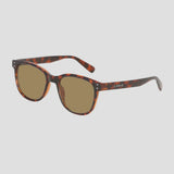 CARVE Homeland - GLOSS TORT FRAME / BROWN POLARISED LENS