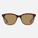 CARVE Homeland - GLOSS TORT FRAME / BROWN POLARISED LENS