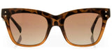 CARVE  Leopold - GLOSS TORTOISE TOBACCO BROWN GRADIENT