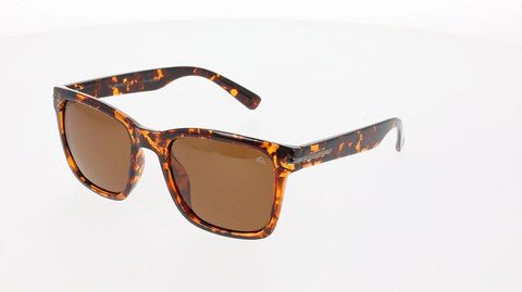 QUIKSILVER Driftwood Polarized - AMBER DEMI