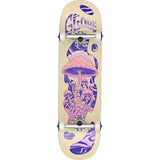 GLOBE - Gi Mind Expansion 8.5 - OFF-WHITE/PURPLE