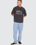 THRILLS The Power of Dreams OS Box Crop Tee - TEMPLE GREY