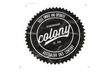 Colony 20" Wheel Set BMX Black Pintour Rim With Wasp Hubs Right Drive RAINBOW