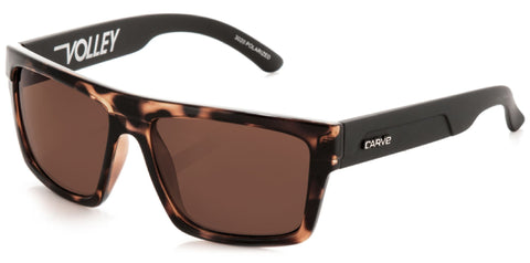 CARVE Volley Polarized - GLOSS TORT/BROWN
